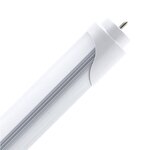 uc?id=1vf_HJDnSN7UFUq88-10ibkWhEKPhcxko