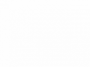 b_235606_image1