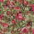 b_1573664_image1