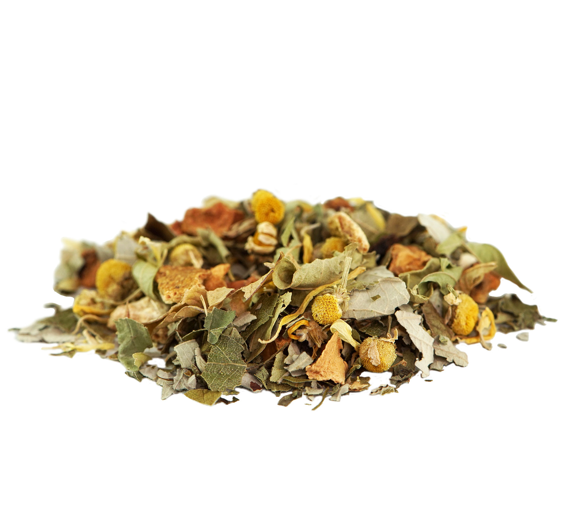 Moroccan Star BIO 2
