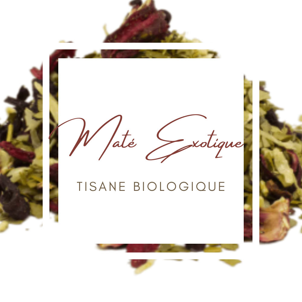 mate-exotique