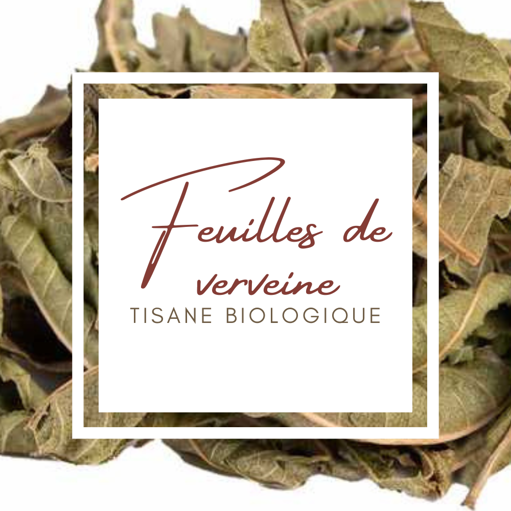 feuilles-de-verveine