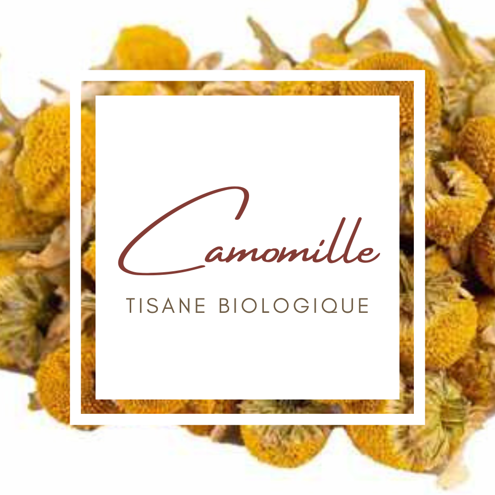 camomille