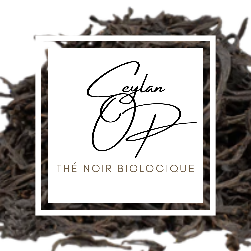 ceylan-op