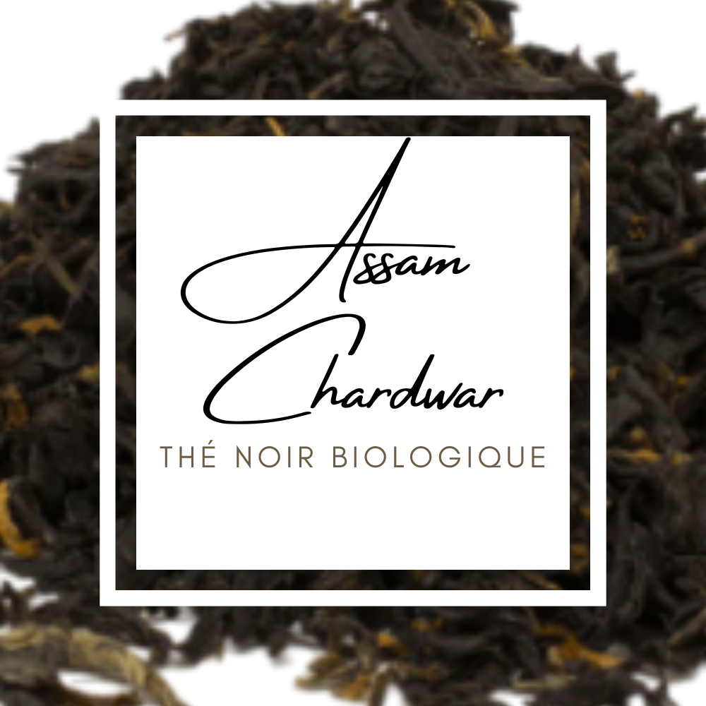 assam-chardwar