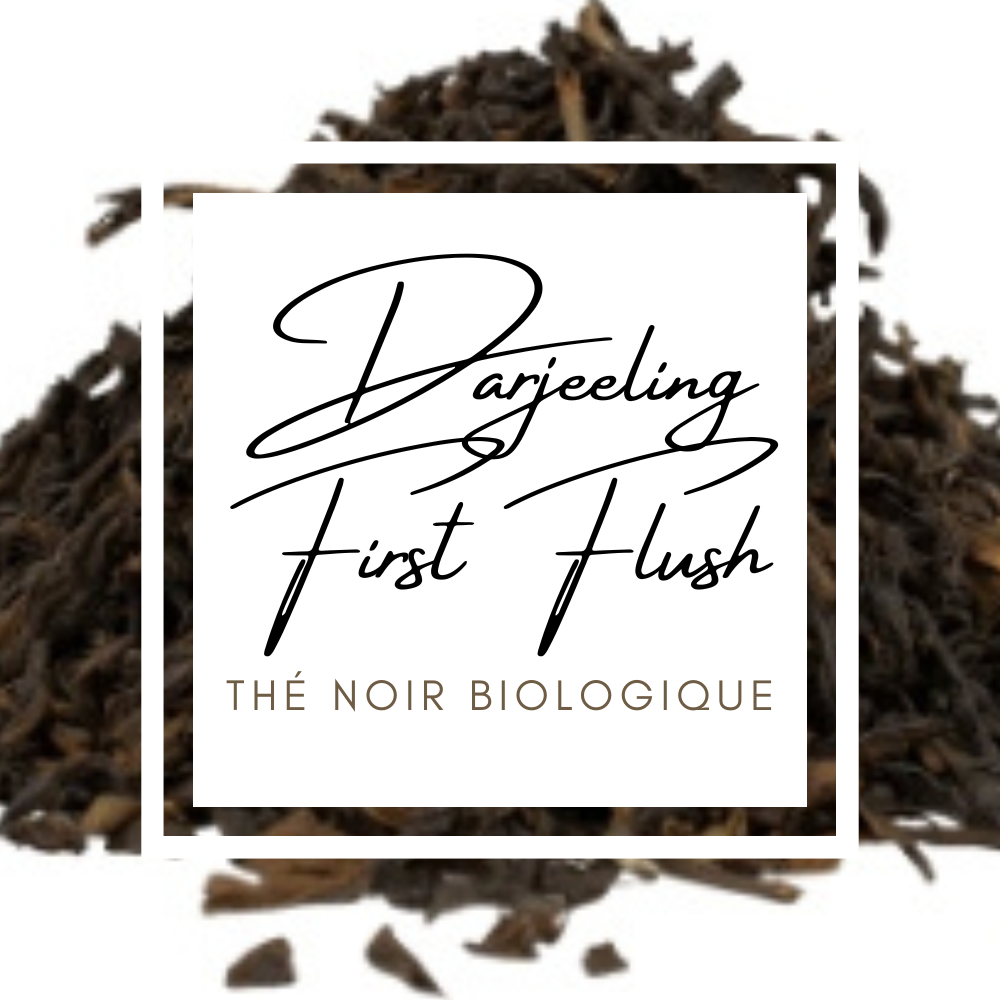 darjeeling-first-flush