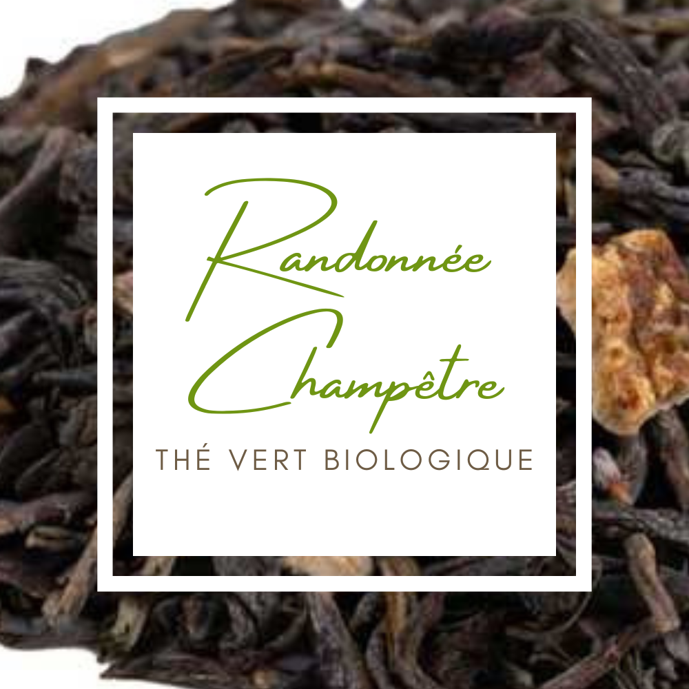randonnee-champetre