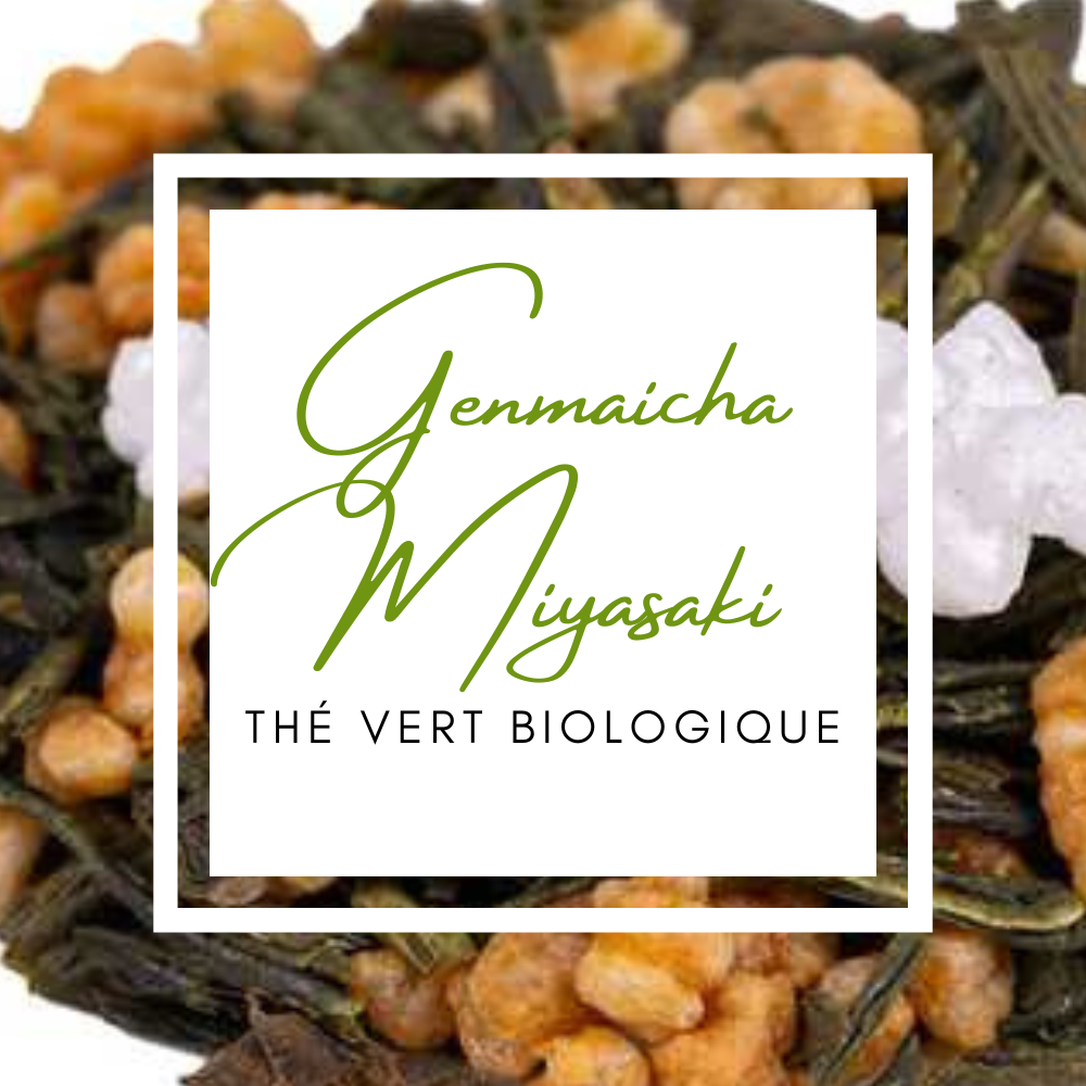 genmaicha-miyasaki