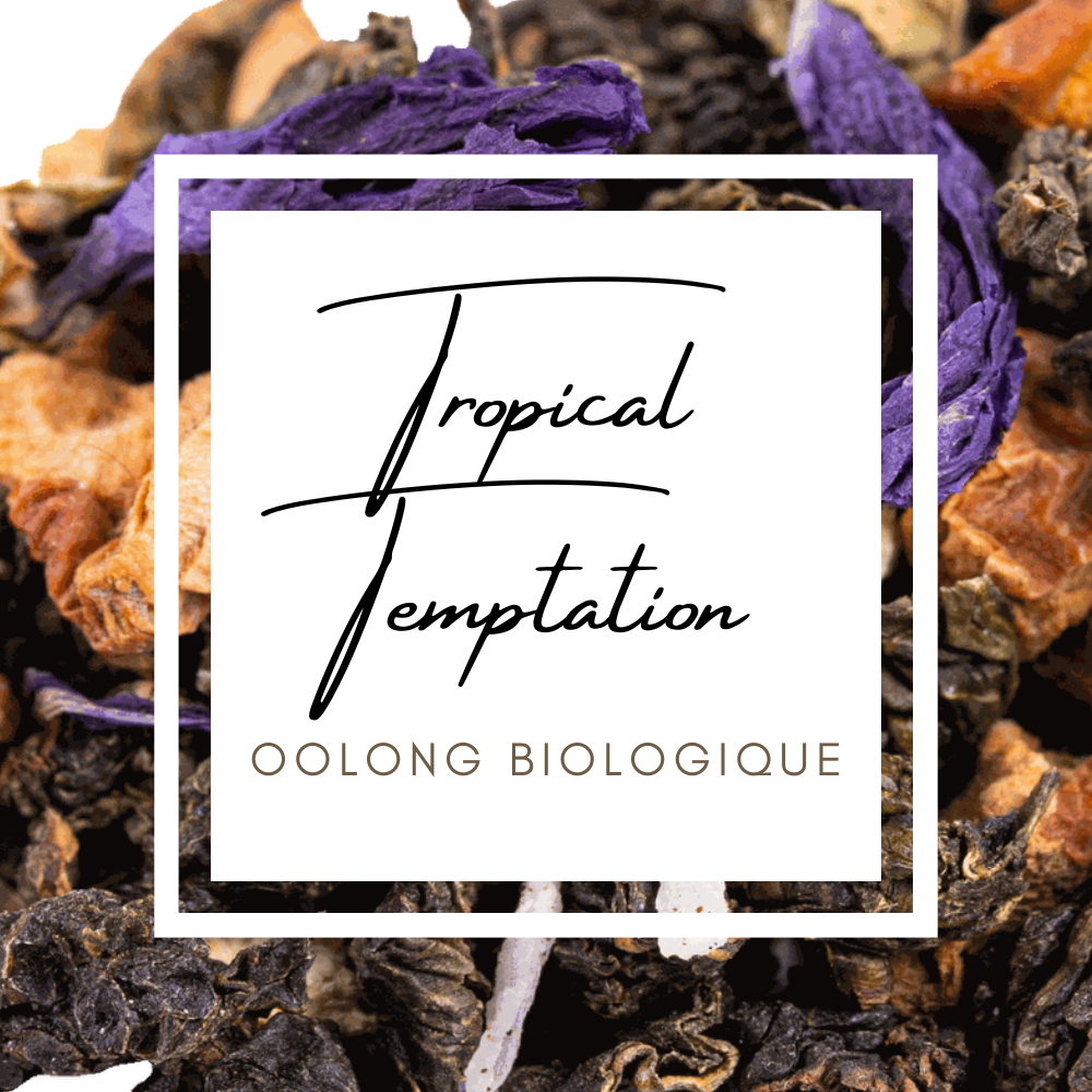 Tropical Temptation