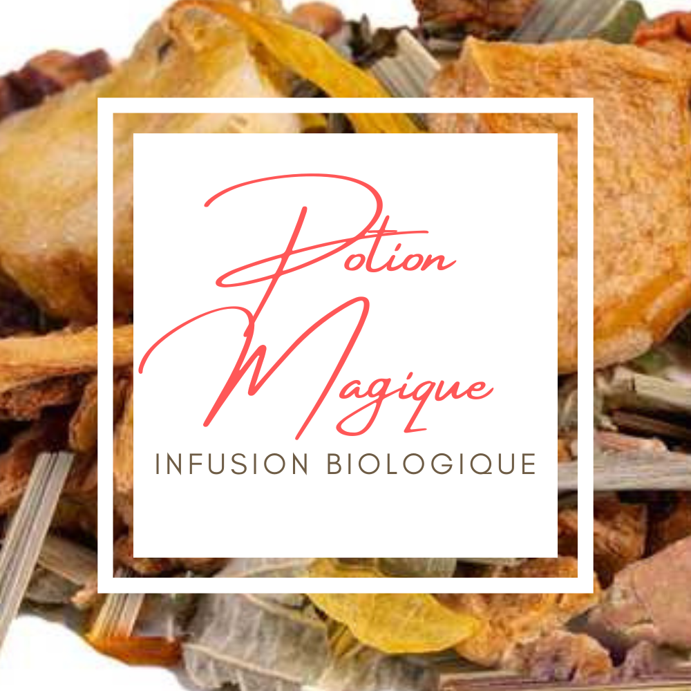 Potion Magique