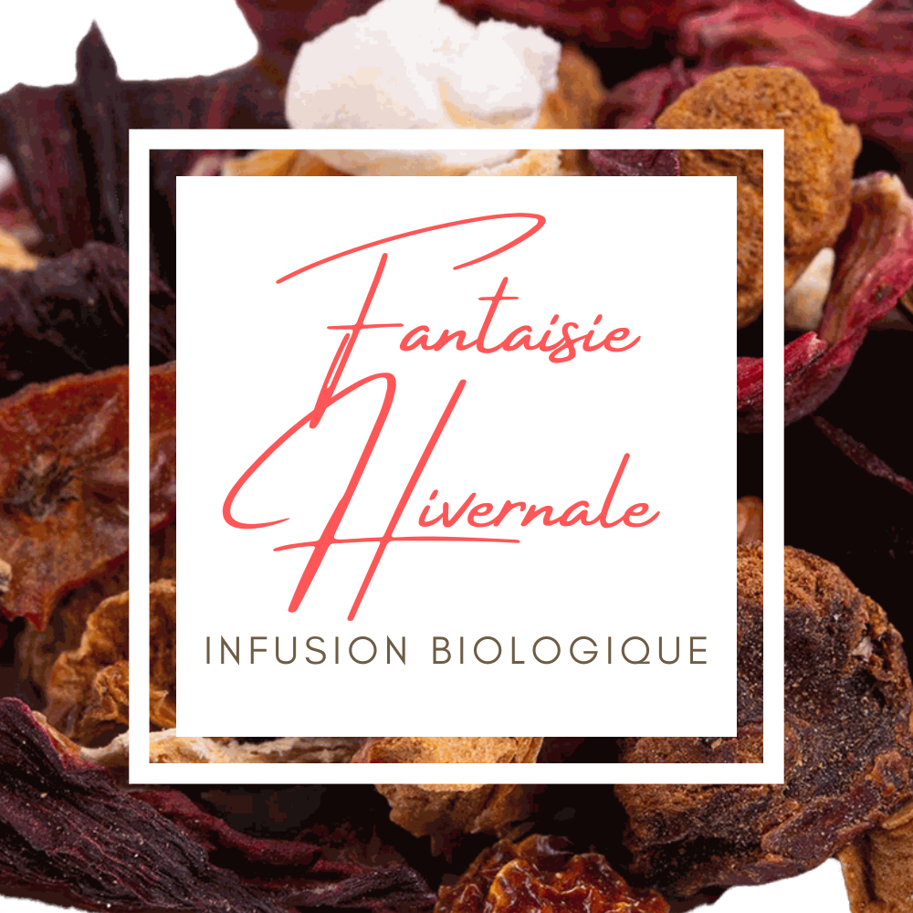 Fantaisie Hivernale
