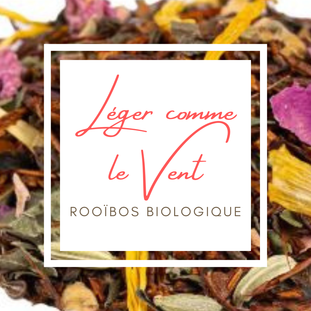Léger comme le Vent