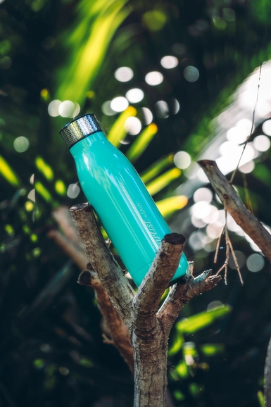 bouteille à thé isotherme 500 ml Shiny Lake Green 2