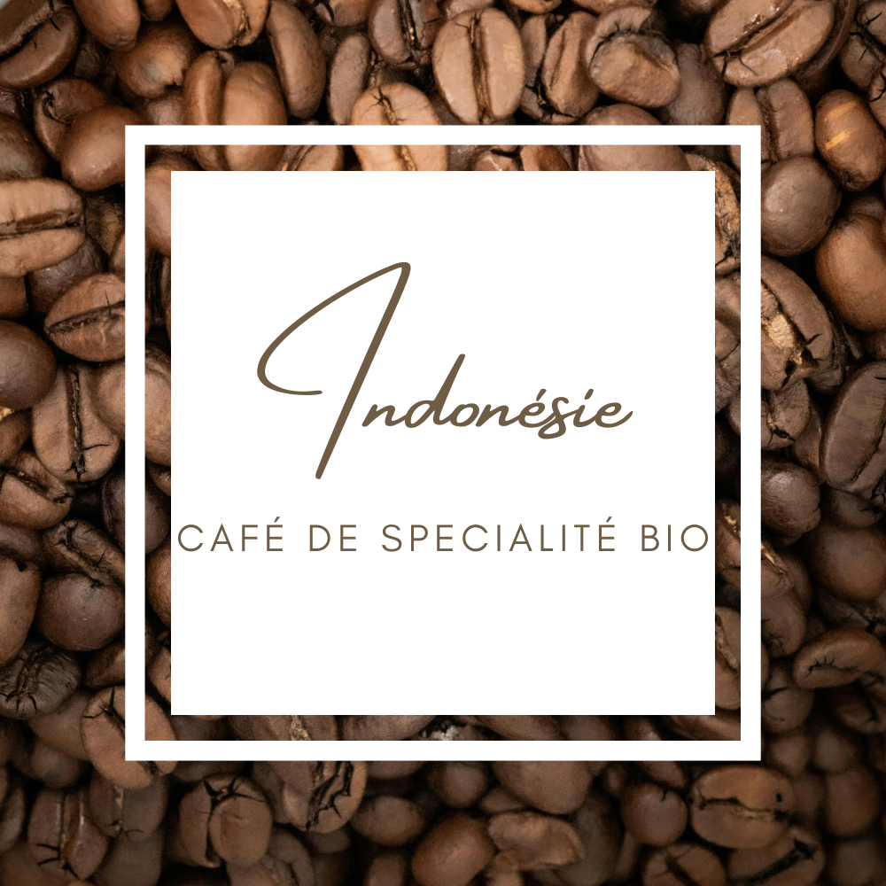 Indonésie