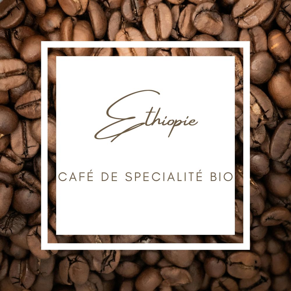 Votre texte de paragraphe