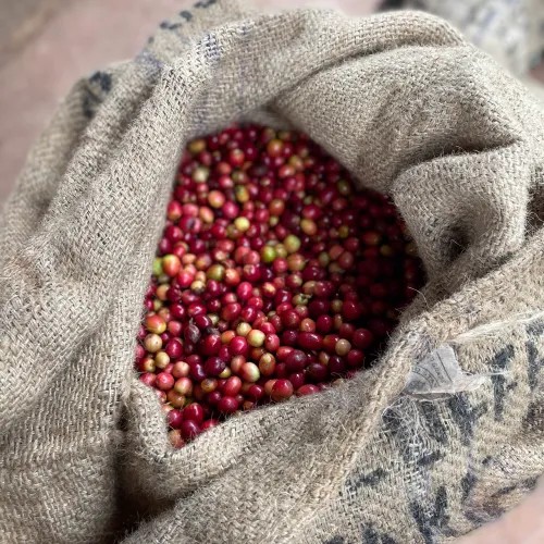 Rwanda 2