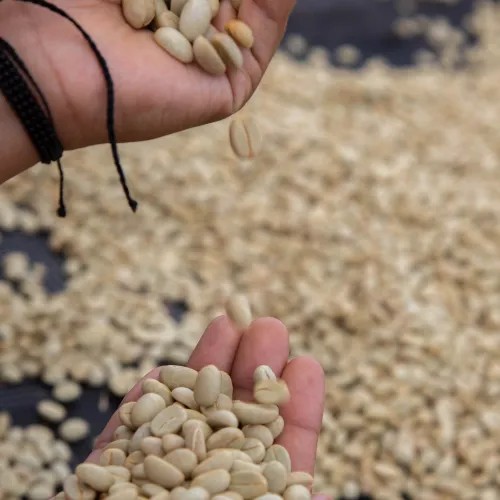 colombie 5