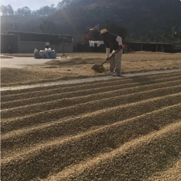Guatemala Santa Rosa 2
