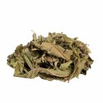 Verveine Bio 2