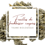 feuilles-de-framboisier-coupees