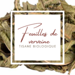 feuilles-de-verveine
