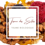 tisane-des-elfes