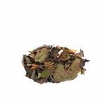 2001-gingembre-menthe-bio-2