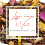 Léger comme le Vent