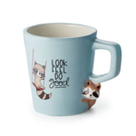 mug raton laveur face