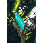bouteille à thé isotherme 500 ml Shiny Lake Green 2