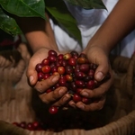 colombie 4