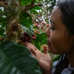 colombie 1