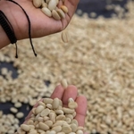 colombie 5