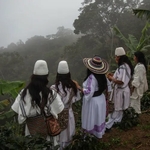 colombie 3