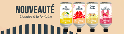 économie e-liquide E-liquides fruités 50ml à prix abordable de grands laboratoires