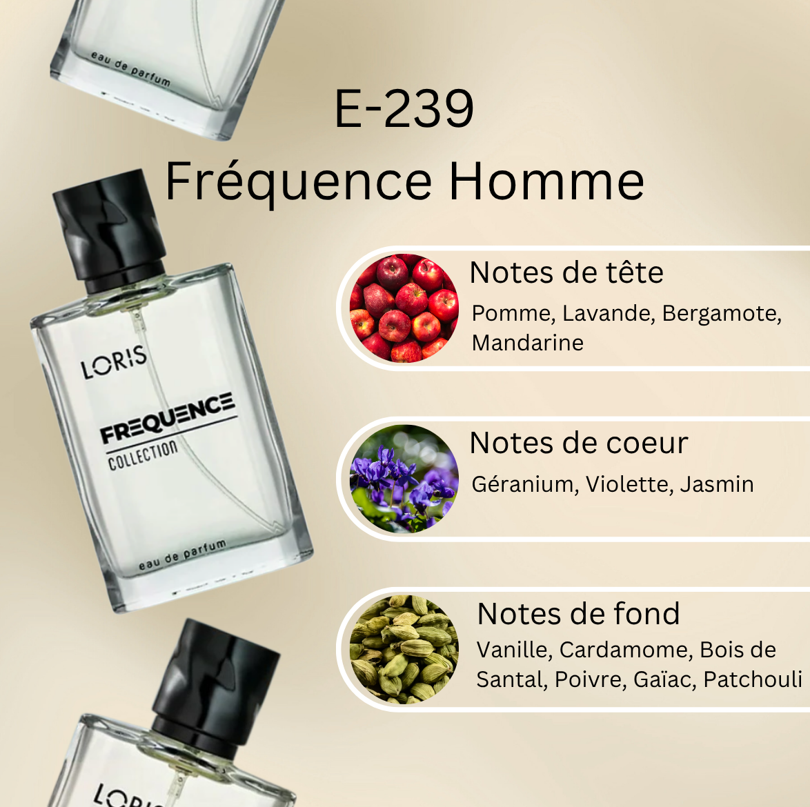 Frequence-Notes-WEB-E-239