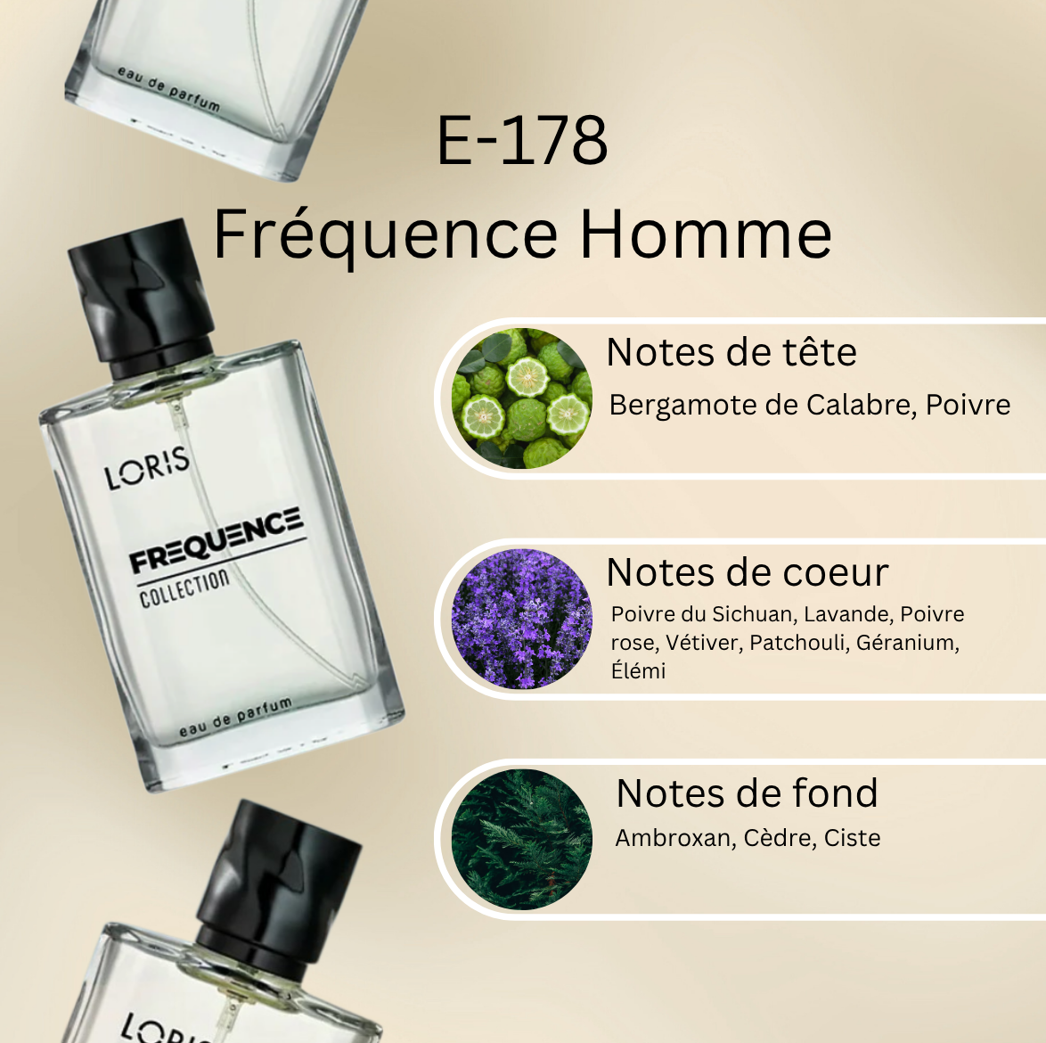 Frequence-Notes-WEB-E-178