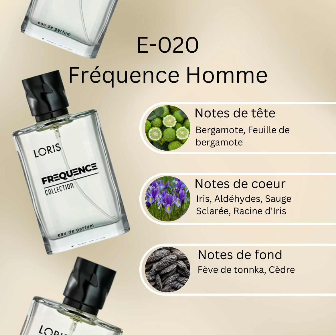 Frequence-Notes-WEB-E-020