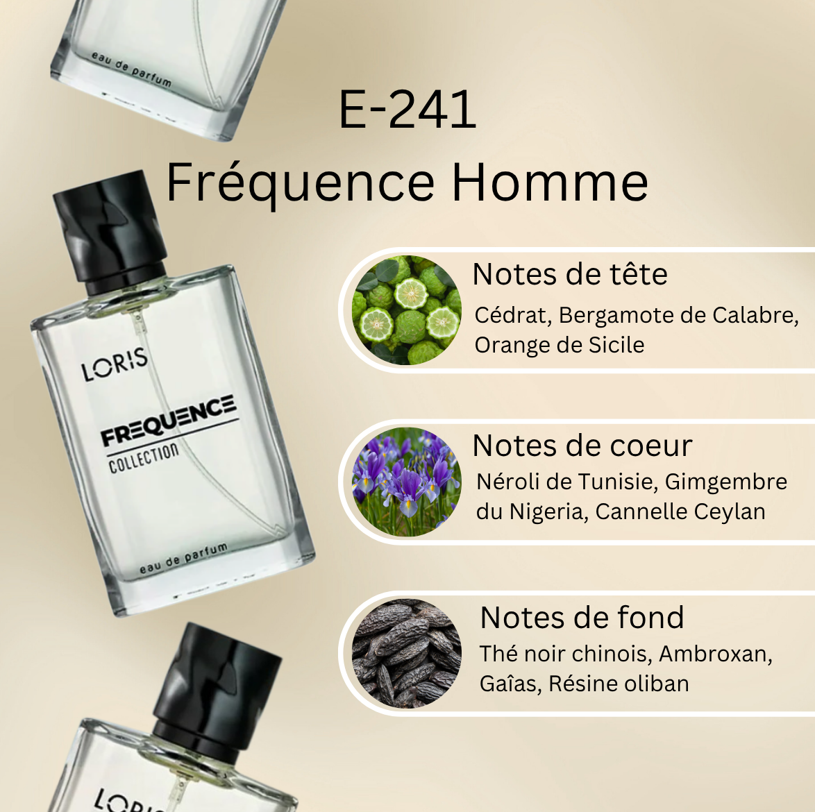 Frequence-Notes-WEB-E-241