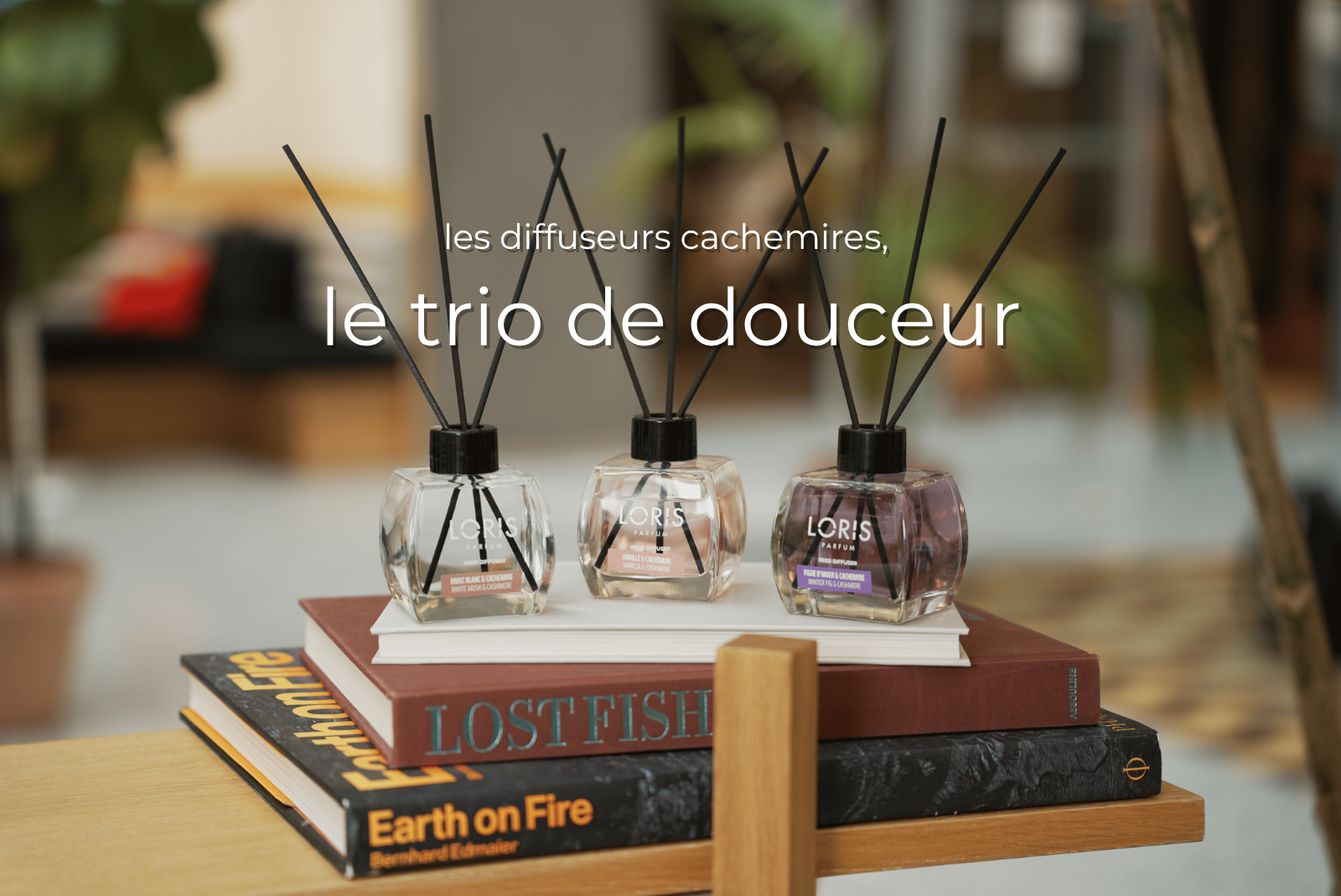 loris-parfum-cachemire