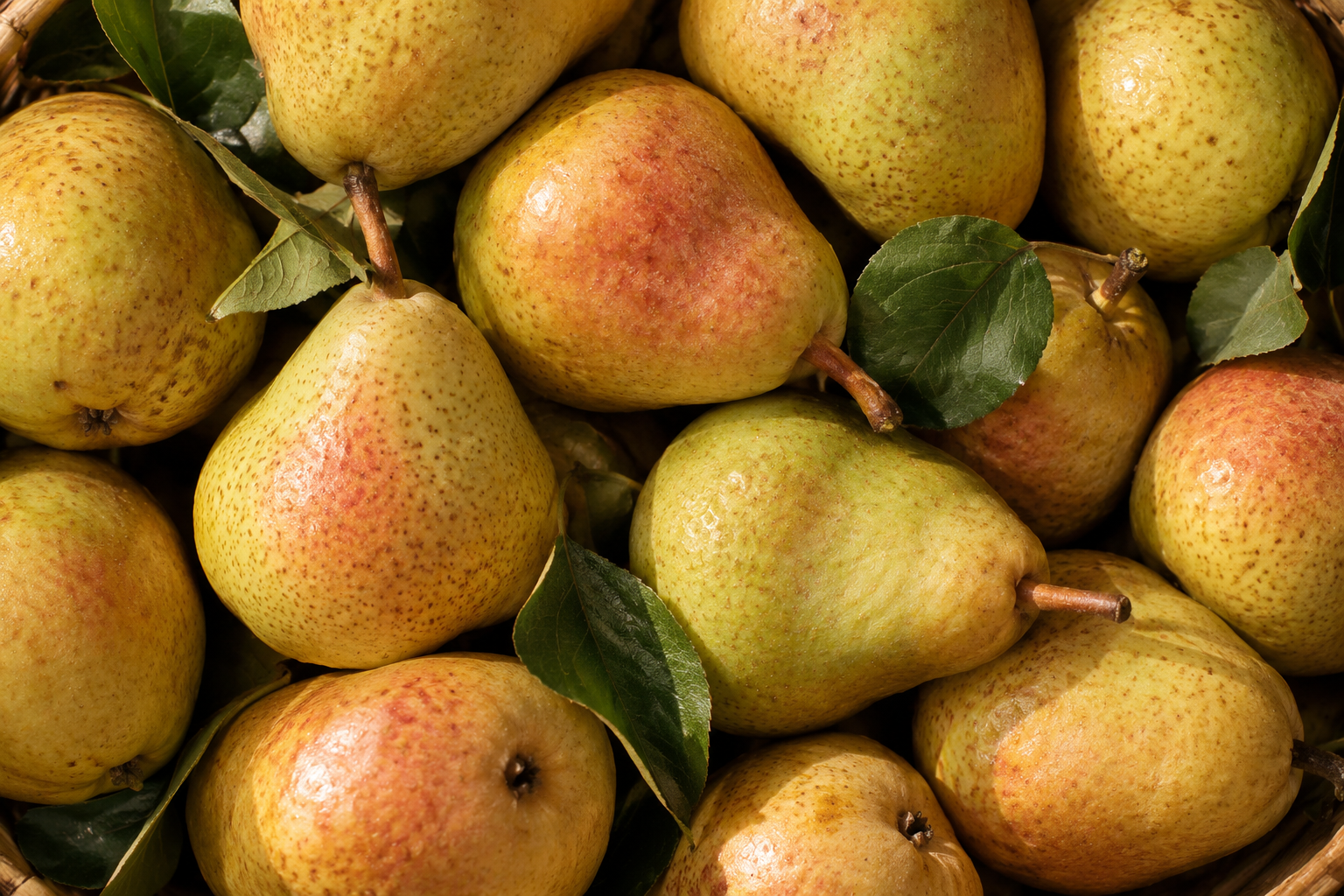 Poires - Accord fruité
