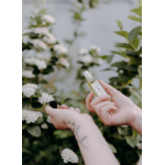 1 (23)