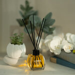 Oda Kokusu Melon 120ml Lifestyle (2)