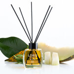 Oda Kokusu Melon 120ml Editorial (3)