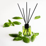 Oda Kokusu Basil 120ml Editorial (1)