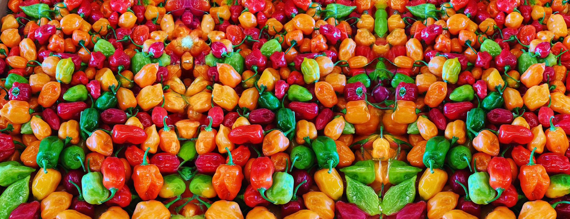 salsamour piments