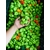 WhatsApp Image 2025-07-16 at 21.40.29