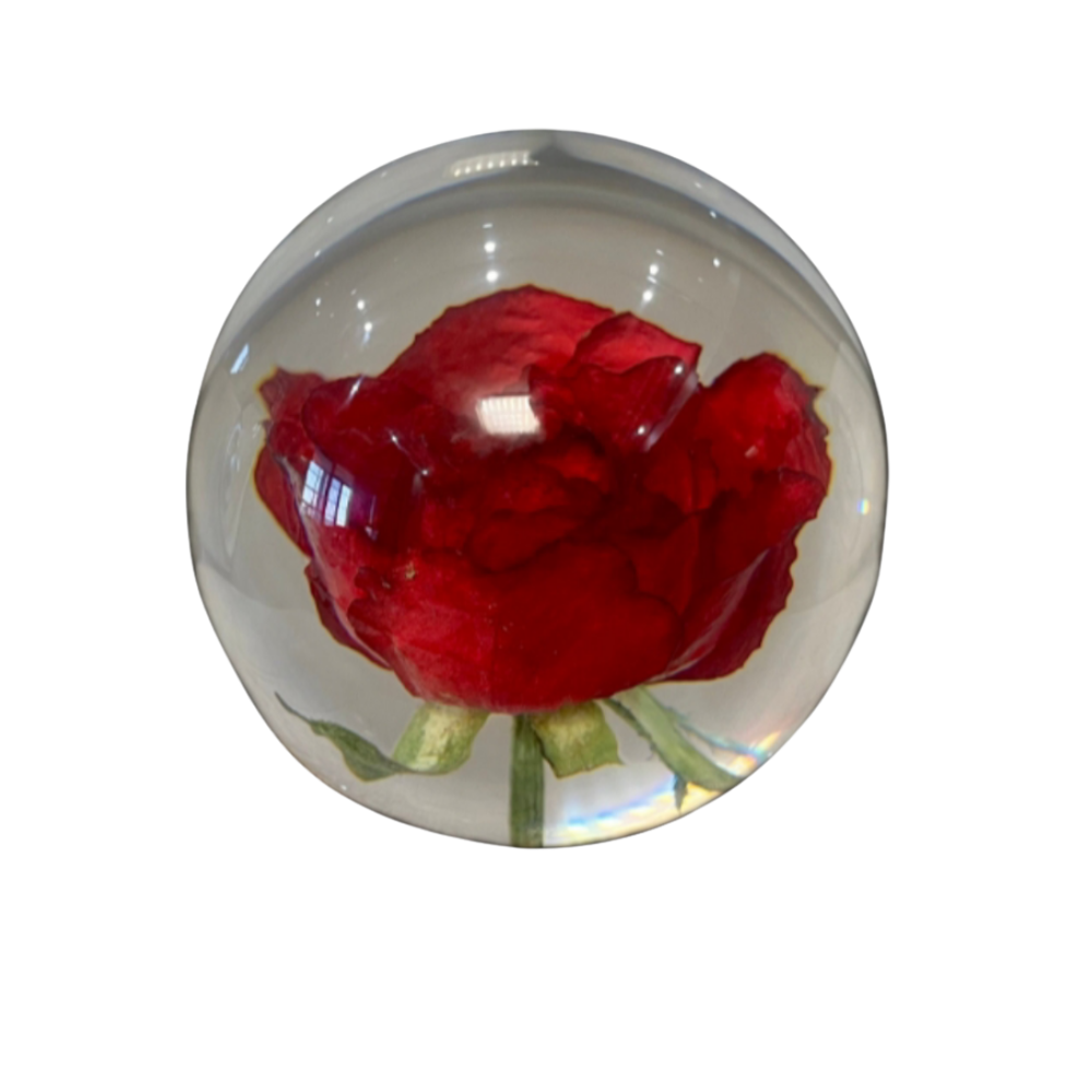 rosess fond1000