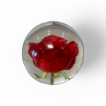 rosefondblanc1000