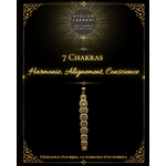 7-Chakras-rigide